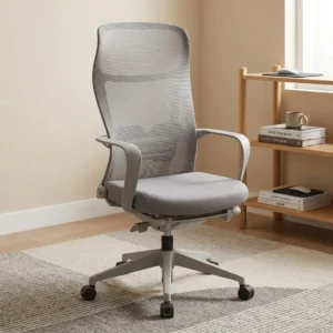 Swivel Mesh Task Chair